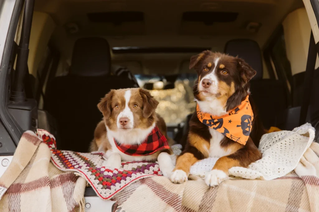 Miniature American Shepherds Dog Car Seat for Nissan Sentra