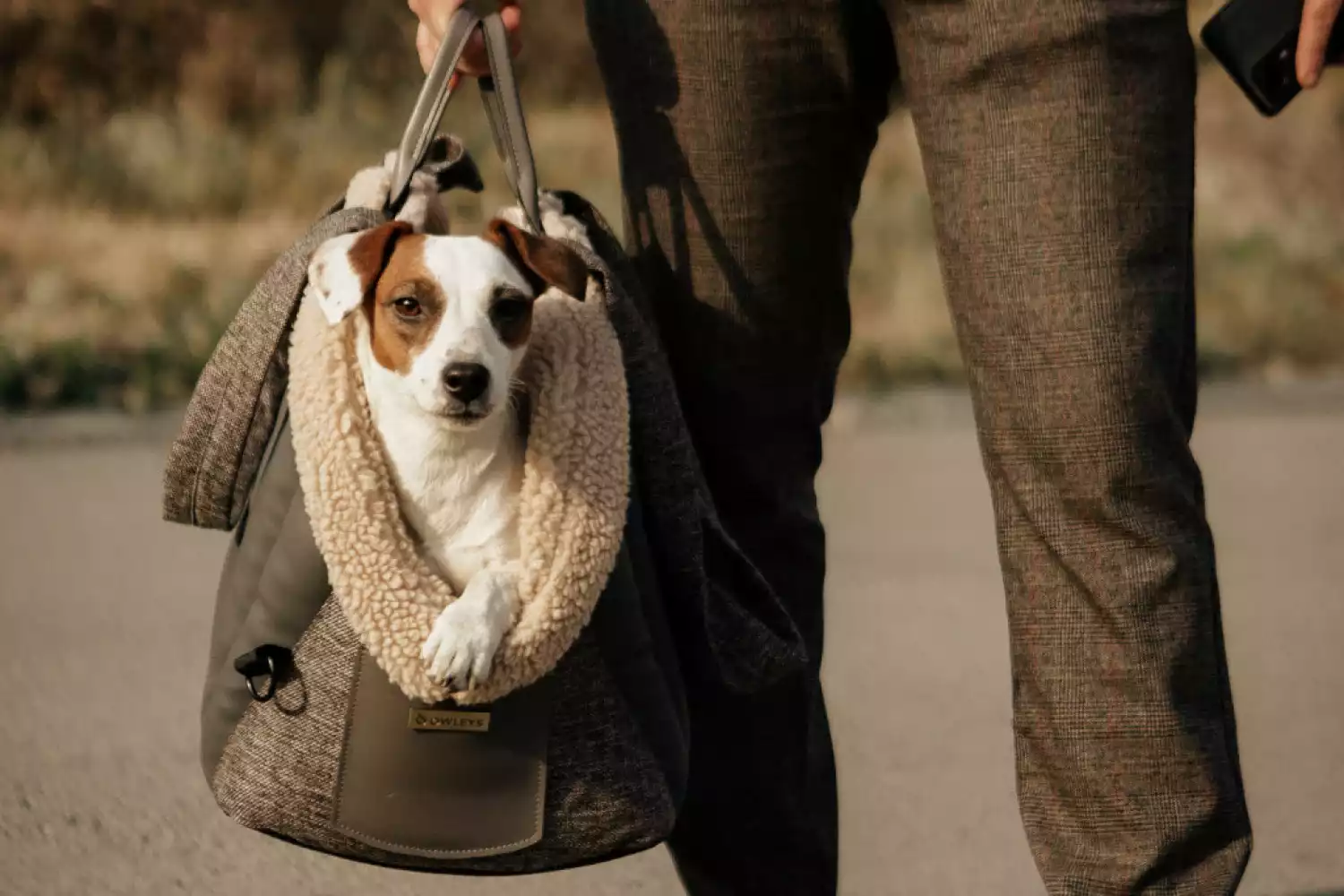 Dog Carrier Purse for Toy Goldendoodle