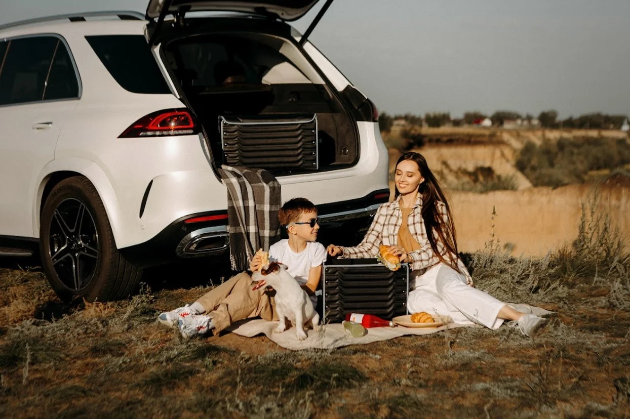 elegant picnic blanket