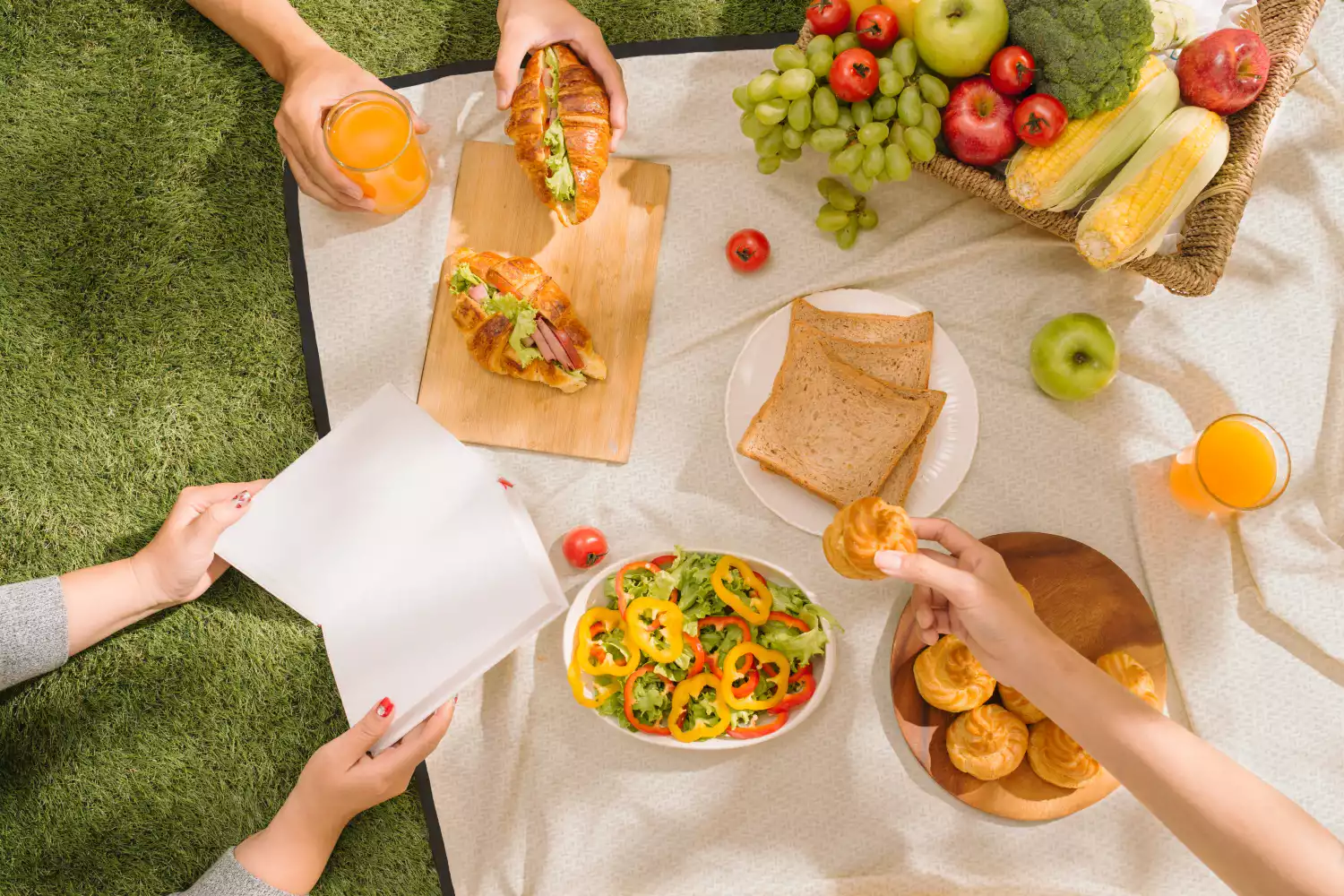 retro picnic blanket