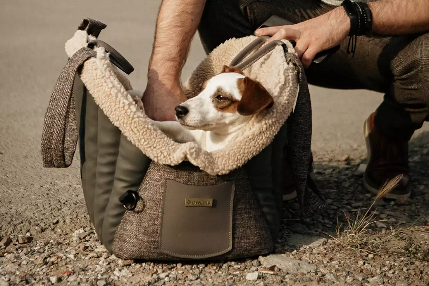 Dog Carrier Purse for Tibetan Terrier