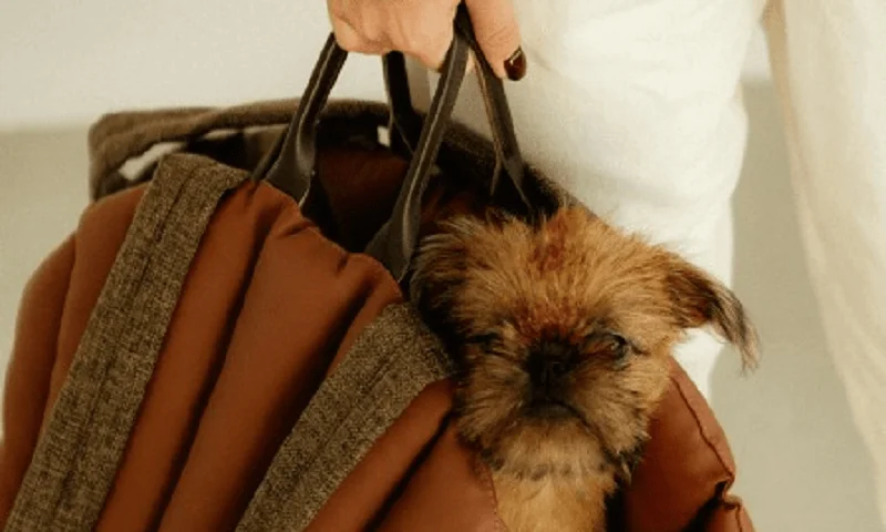 Dog Carrier Purse for Tibetan Terrier