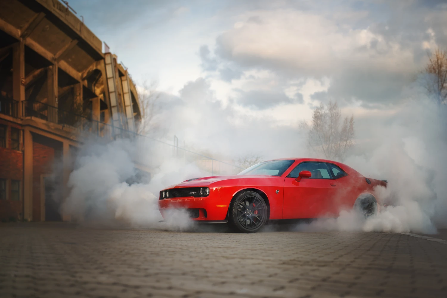 trash containers for Dodge Challenger