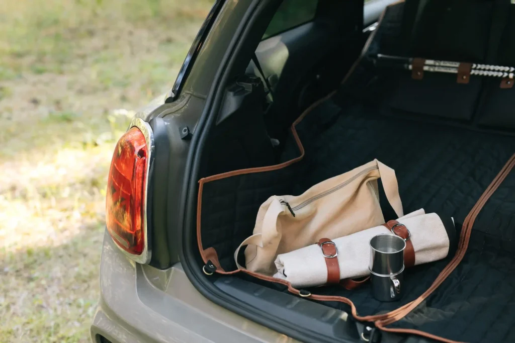 picnic blanket roll